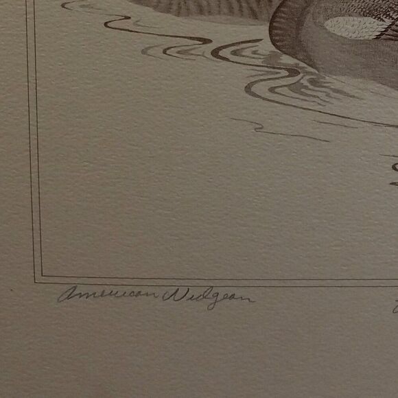 Vintage American Waterfowl Etching/Print Lynn Forehand 4 of 5 Cottagecor… - Picture 3 of 7